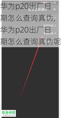 华为p20出厂日期怎么查询真伪,华为p20出厂日期怎么查询真伪呢