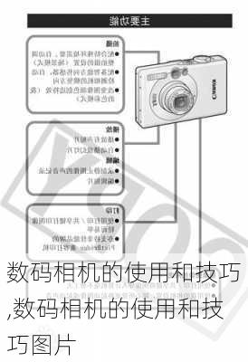 数码相机的使用和技巧,数码相机的使用和技巧图片