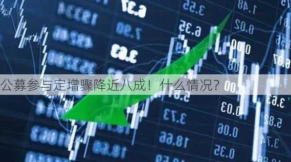 公募参与定增骤降近八成！什么情况？