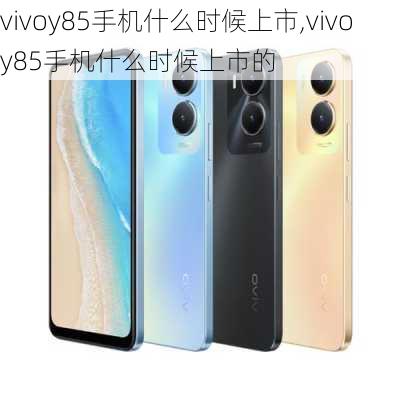 vivoy85手机什么时候上市,vivoy85手机什么时候上市的