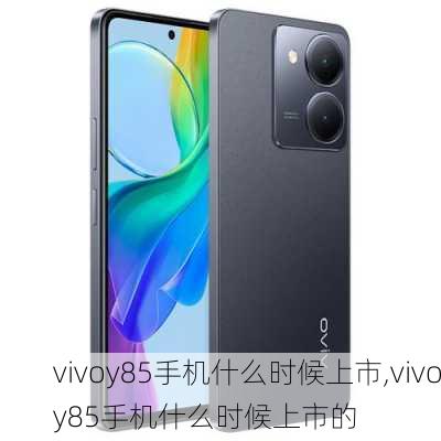 vivoy85手机什么时候上市,vivoy85手机什么时候上市的