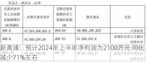 新黄浦：预计2024年上半年净利润为2100万元 同比减少71%左右