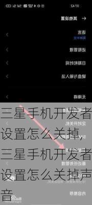 三星手机开发者设置怎么关掉,三星手机开发者设置怎么关掉声音