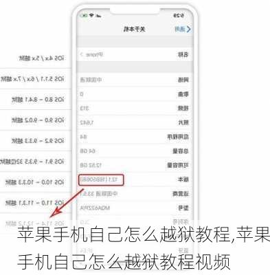 苹果手机自己怎么越狱教程,苹果手机自己怎么越狱教程视频