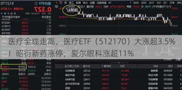 医疗全线走高，医疗ETF（512170）大涨超3.5%！昭衍新药涨停，爱尔眼科涨超11%