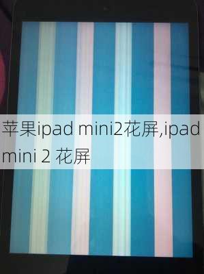 苹果ipad mini2花屏,ipad mini 2 花屏