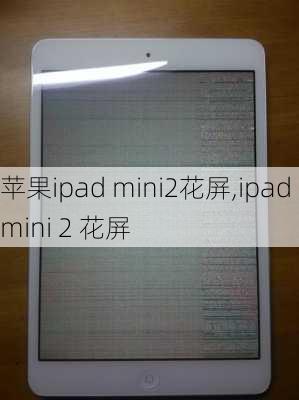 苹果ipad mini2花屏,ipad mini 2 花屏