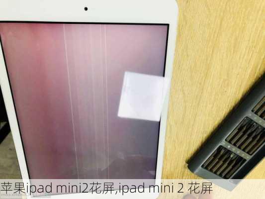 苹果ipad mini2花屏,ipad mini 2 花屏