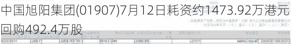 中国旭阳集团(01907)7月12日耗资约1473.92万港元回购492.4万股