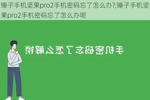 锤子手机坚果pro2手机密码忘了怎么办?,锤子手机坚果pro2手机密码忘了怎么办呢