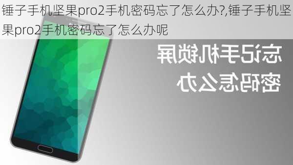 锤子手机坚果pro2手机密码忘了怎么办?,锤子手机坚果pro2手机密码忘了怎么办呢