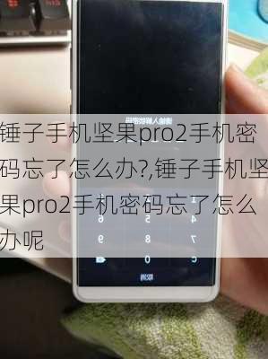 锤子手机坚果pro2手机密码忘了怎么办?,锤子手机坚果pro2手机密码忘了怎么办呢