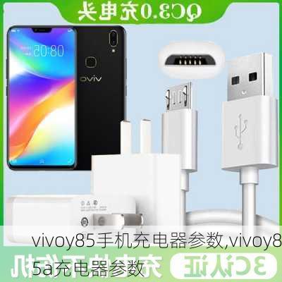 vivoy85手机充电器参数,vivoy85a充电器参数