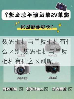 数码相机与单反相机有什么区别,数码相机与单反相机有什么区别呢