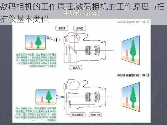 数码相机的工作原理,数码相机的工作原理与扫描仪基本类似