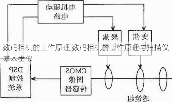 数码相机的工作原理,数码相机的工作原理与扫描仪基本类似