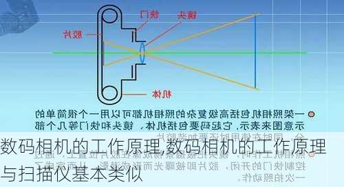 数码相机的工作原理,数码相机的工作原理与扫描仪基本类似