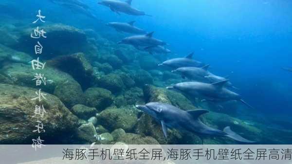 海豚手机壁纸全屏,海豚手机壁纸全屏高清