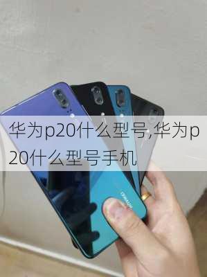 华为p20什么型号,华为p20什么型号手机