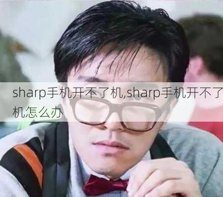 sharp手机开不了机,sharp手机开不了机怎么办