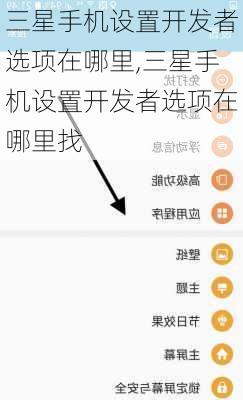 三星手机设置开发者选项在哪里,三星手机设置开发者选项在哪里找