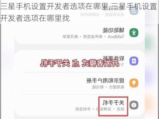 三星手机设置开发者选项在哪里,三星手机设置开发者选项在哪里找
