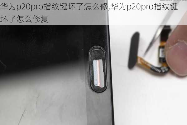 华为p20pro指纹键坏了怎么修,华为p20pro指纹键坏了怎么修复