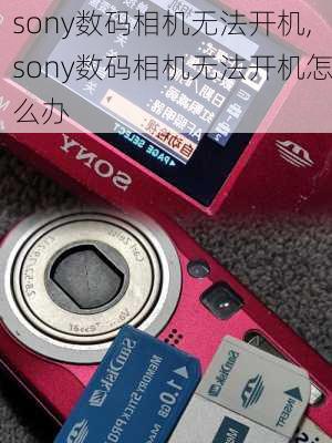 sony数码相机无法开机,sony数码相机无法开机怎么办