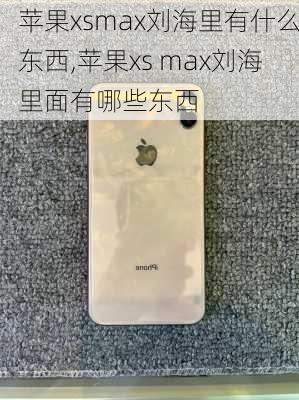 苹果xsmax刘海里有什么东西,苹果xs max刘海里面有哪些东西