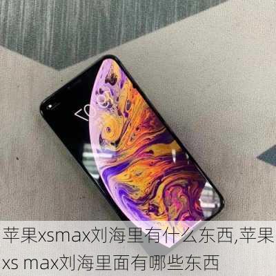 苹果xsmax刘海里有什么东西,苹果xs max刘海里面有哪些东西