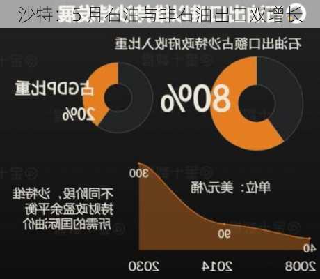 沙特：5 月石油与非石油出口双增长