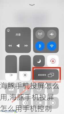 海豚手机投屏怎么用,海豚手机投屏怎么用手机控制