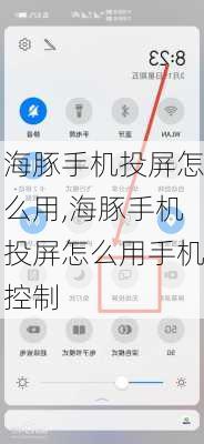 海豚手机投屏怎么用,海豚手机投屏怎么用手机控制