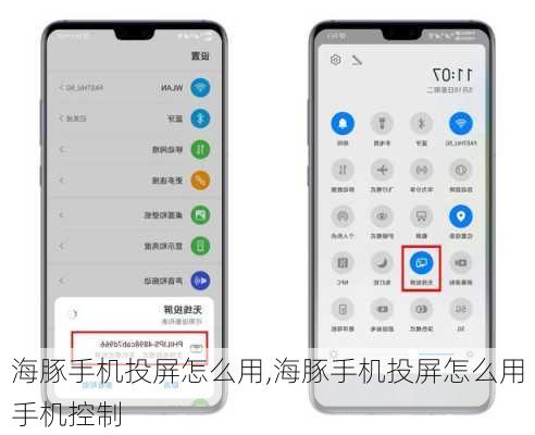 海豚手机投屏怎么用,海豚手机投屏怎么用手机控制