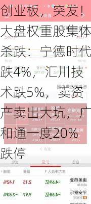 创业板，突发！大盘权重股集体杀跌：宁德时代跌4%，汇川技术跌5%，卖资产卖出大坑，广和通一度20%跌停