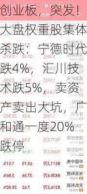 创业板，突发！大盘权重股集体杀跌：宁德时代跌4%，汇川技术跌5%，卖资产卖出大坑，广和通一度20%跌停