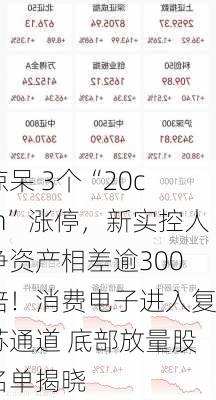 惊呆 3个“20cm”涨停，新实控人净资产相差逾300倍！消费电子进入复苏通道 底部放量股名单揭晓