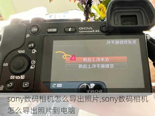 sony数码相机怎么导出照片,sony数码相机怎么导出照片到电脑