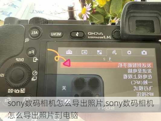 sony数码相机怎么导出照片,sony数码相机怎么导出照片到电脑