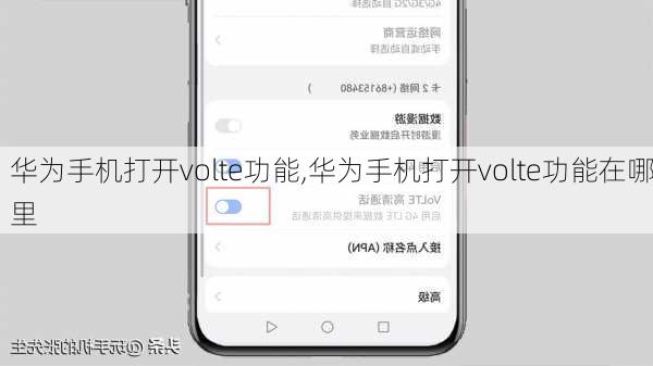 华为手机打开volte功能,华为手机打开volte功能在哪里
