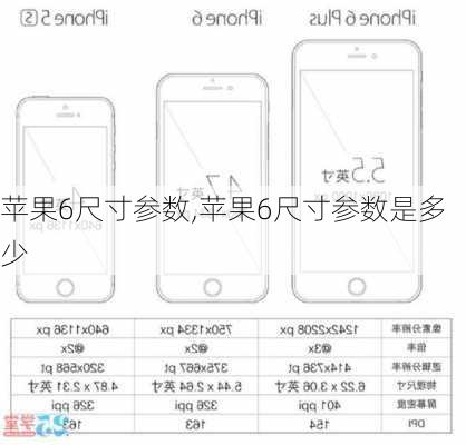 苹果6尺寸参数,苹果6尺寸参数是多少