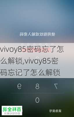 vivoy85密码忘了怎么解锁,vivoy85密码忘记了怎么解锁