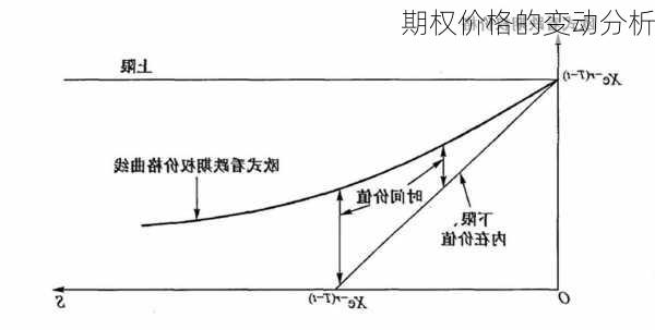 期权价格的变动分析