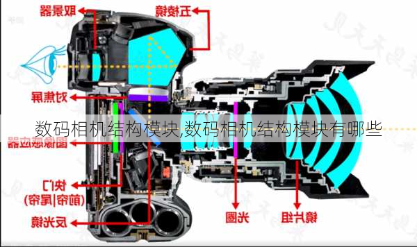 数码相机结构模块,数码相机结构模块有哪些