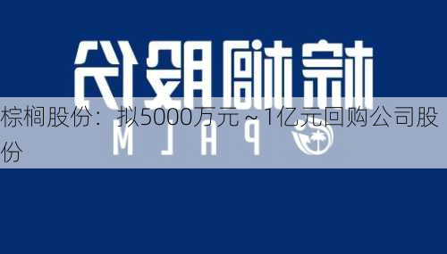 棕榈股份：拟5000万元～1亿元回购公司股份