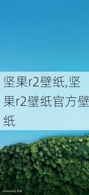 坚果r2壁纸,坚果r2壁纸官方壁纸