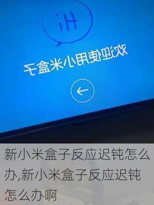 新小米盒子反应迟钝怎么办,新小米盒子反应迟钝怎么办啊