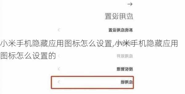 小米手机隐藏应用图标怎么设置,小米手机隐藏应用图标怎么设置的