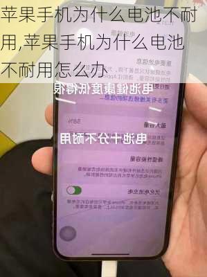 苹果手机为什么电池不耐用,苹果手机为什么电池不耐用怎么办