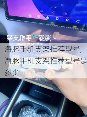 海豚手机支架推荐型号,海豚手机支架推荐型号是多少